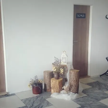 萨拉斯酒店 酒店 3*