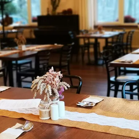 酒店 萨拉斯酒店 Šenov