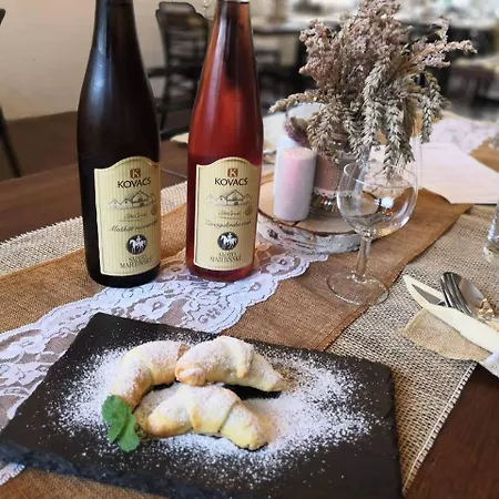 酒店 萨拉斯酒店